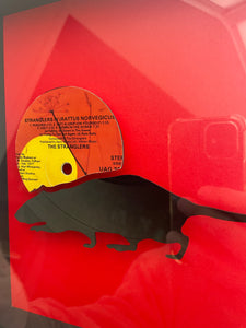 The Stranglers - IV Rattus Norvegicus - Vinyl Record Art 1977