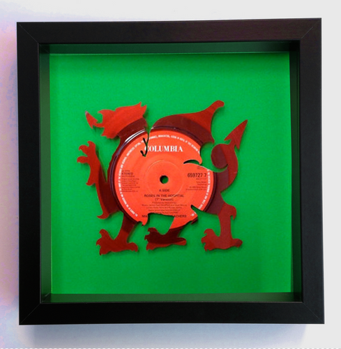 Manic Street Preachers - Roses in the Hospital - Red Vinyl Record Art 1993