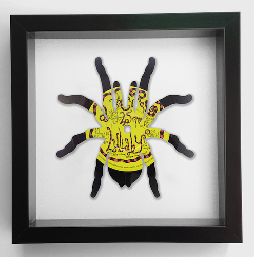 The Cure - Lullaby - Spider Vinyl Record Art 1989